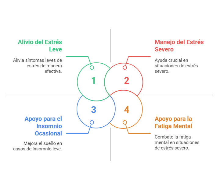 ilustración de las aplicaciones del Lehning L72