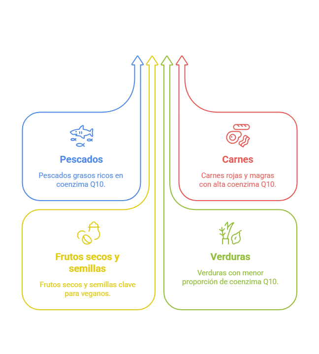 ilustración con los alimentos ricos en coenzima Q10