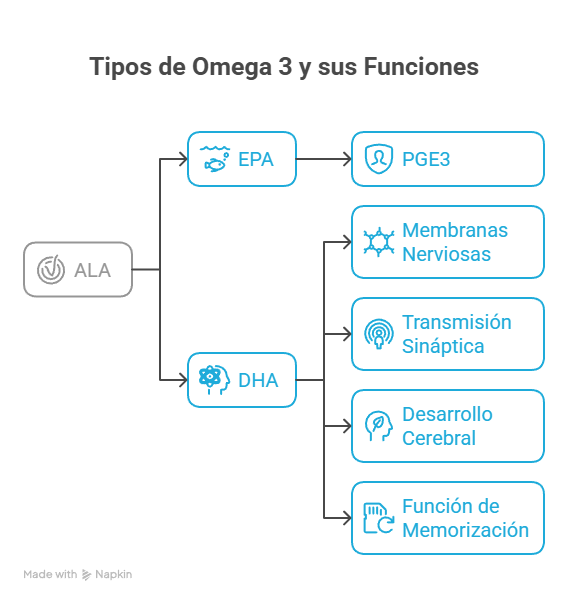 tipos de Omega 3