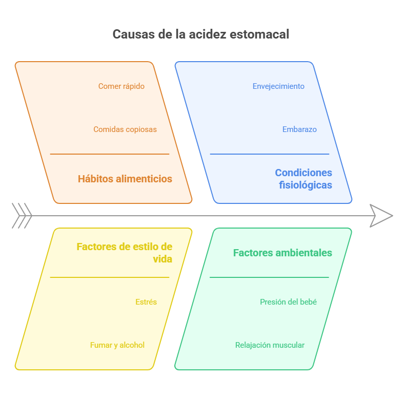ilustración de las causas de la acidez estomacal