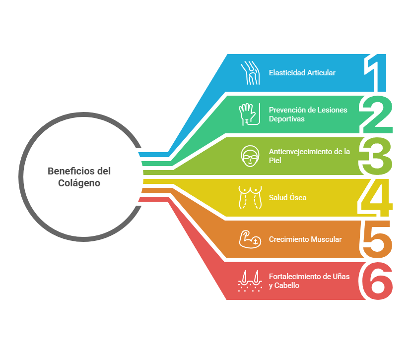 Colágeno Hidrolizado. Definición, beneficios y mucho más 1 beneficios del colágeno hidrolizado