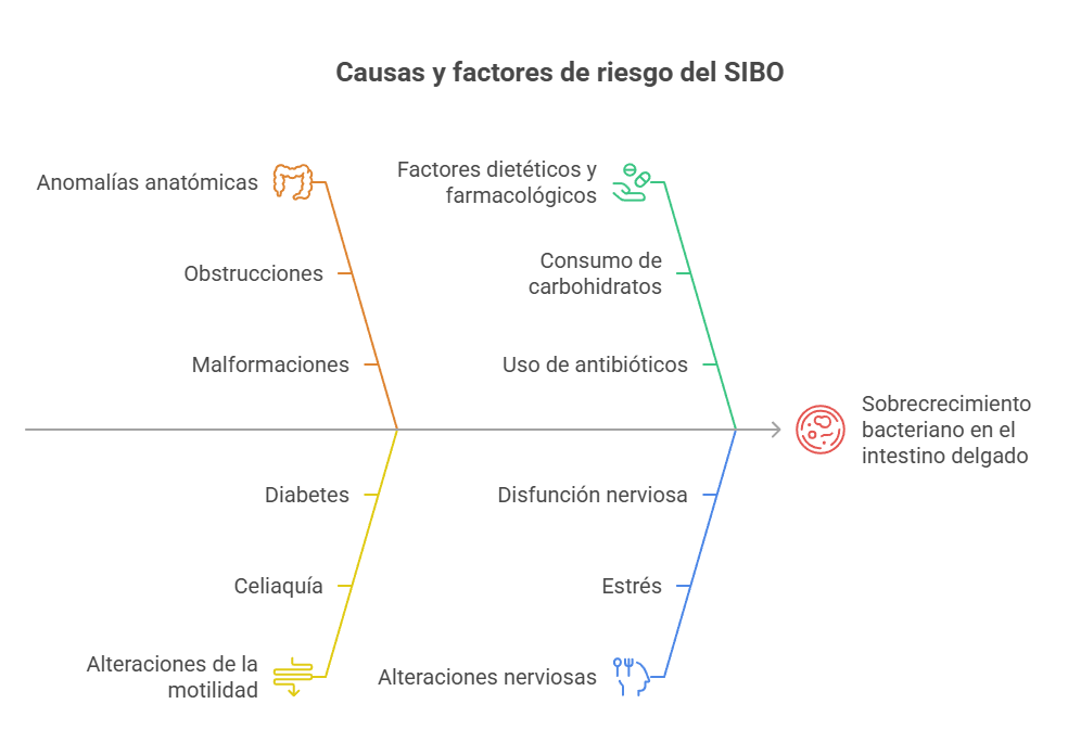 causas y factores de riesgo del SIBO