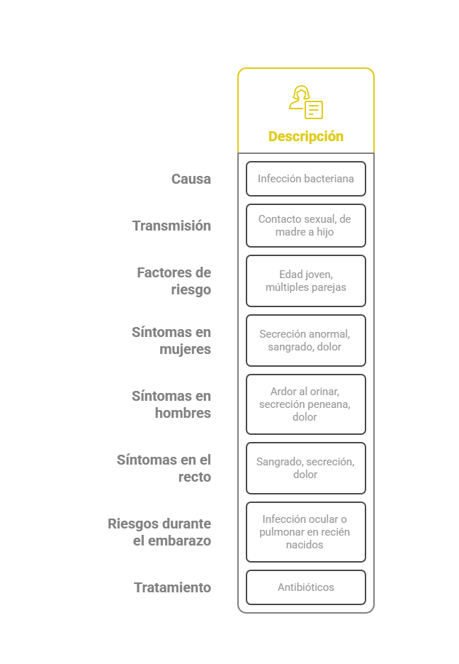 Test de Clamidia en Farmacias. Lo que Debes Saber 1 ilustración informativa de la clamidia