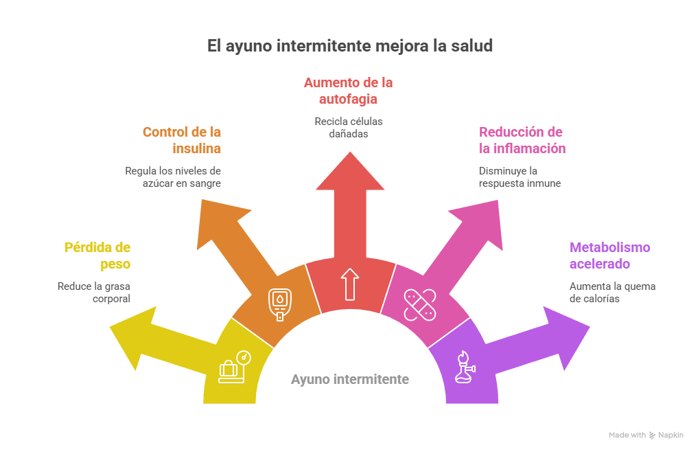 Ayuno intermitente: Beneficios y precauciones a tener en cuenta 1 beneficios del ayuno intermitente